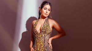 Hina Khan Talk about stardom In The Industry