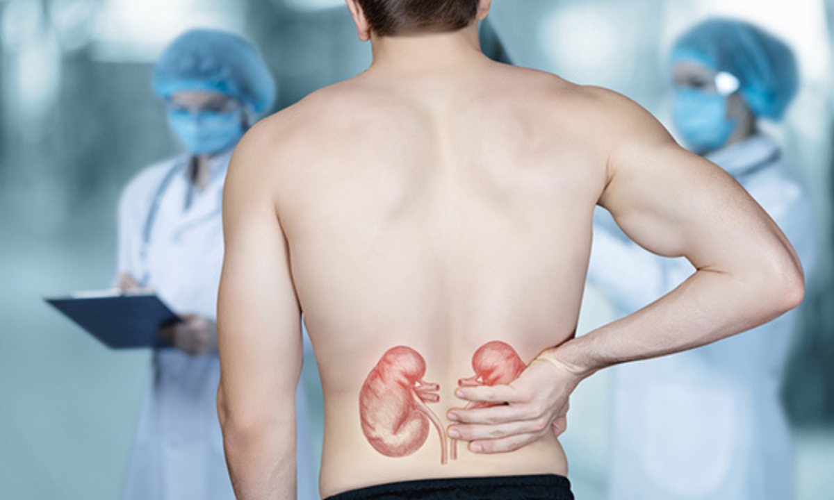 आखिर क्या होता हैं Kidney Cancer? क्यों बढ़ रही हैं देश में इसके मरीज़ो की संख्या-IndiaNews