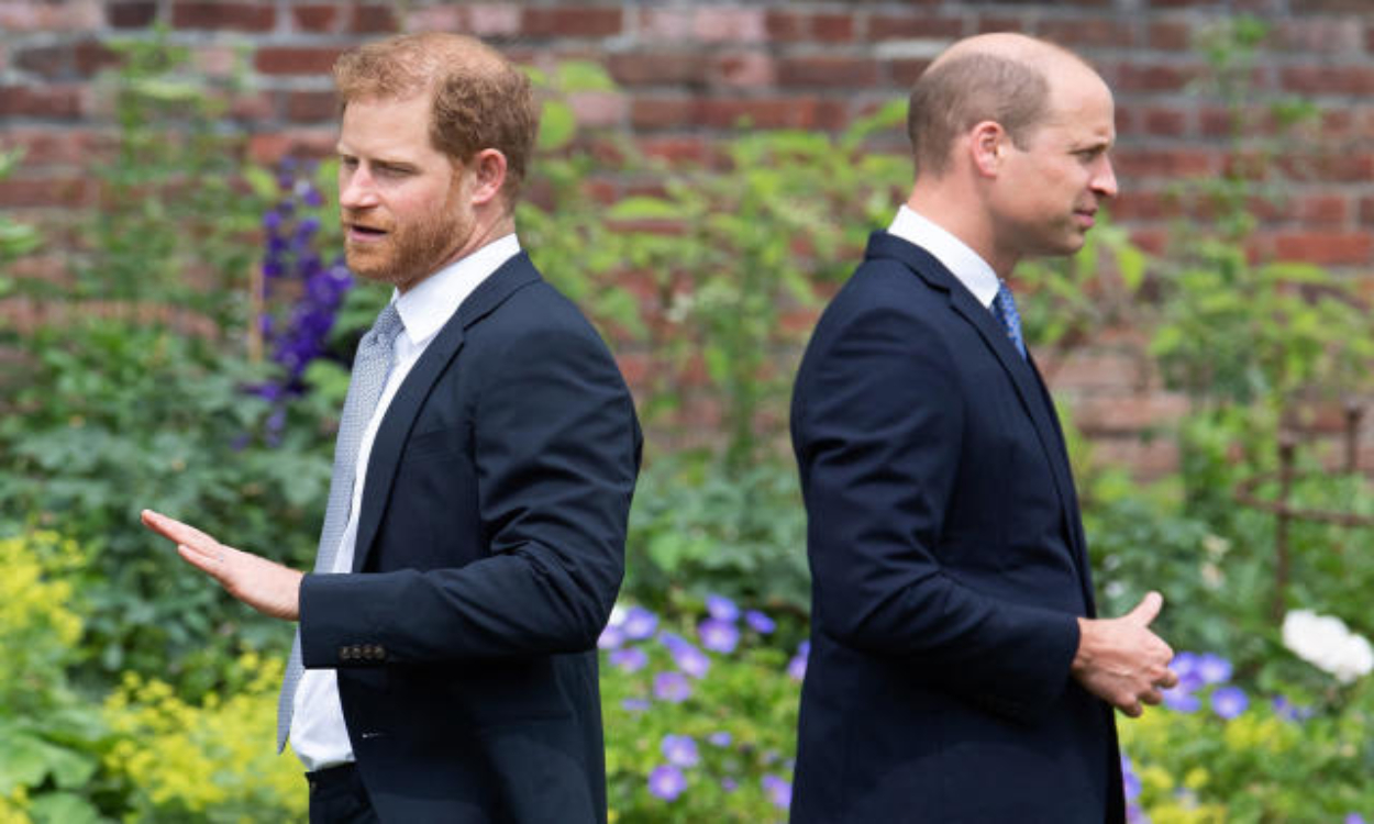 Prince Harry and William: क्या प्रिंस हैरी और विलियम अब नहीं होंगे साथ? शाही परिवार के इस रिश्ते में लगातार बढ़ रही दूरियां-Indianews