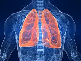 Some Effective Remedies For Lungs