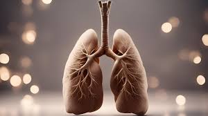 Some Effective Remedies For Lungs