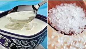 Side Effects Of Curd Mixed With Sugar