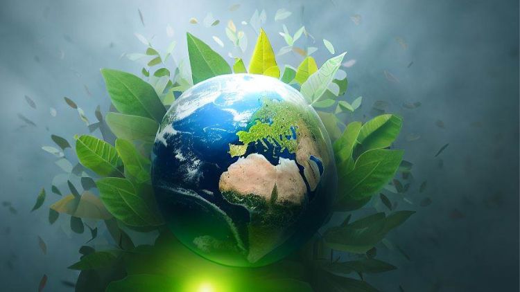 World Environment Day 2024: विश्व पर्यावरण दिवस 2024 पर ये 5 अनसुने कम्पोस्टेबल उत्पाद जो लाएंगे बदलाव, जानें-Indianews