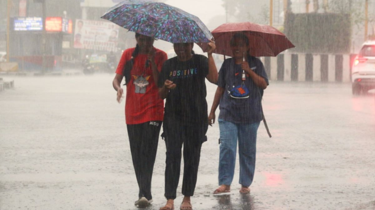 Rajasthan Weather:  राजस्थान में झमाझम बारिश का दौर जारी,  इन इलाकों के लिए   IMD का अलर्ट