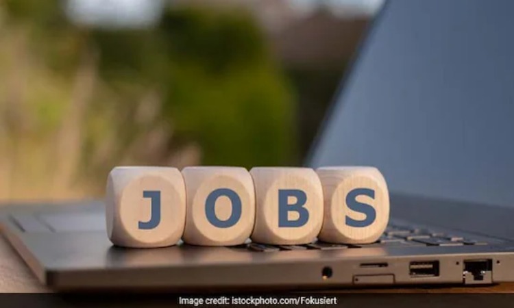 Govt Jobs: इलाहाबाद हाईकोर्ट में निकली 3306 पदों पर भर्तियां, छठवीं पास भी कर सकते हैं अप्लाई