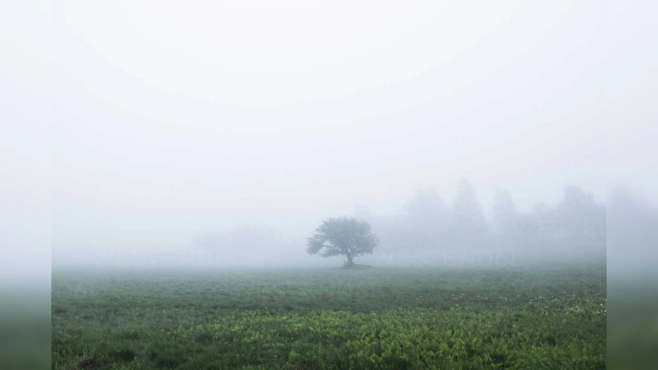 Bihar Weather: हवाओं का बदला रुख! दिवाली से पहले बढ़ेगी सर्दी, जानें मौसम पर अपडेट