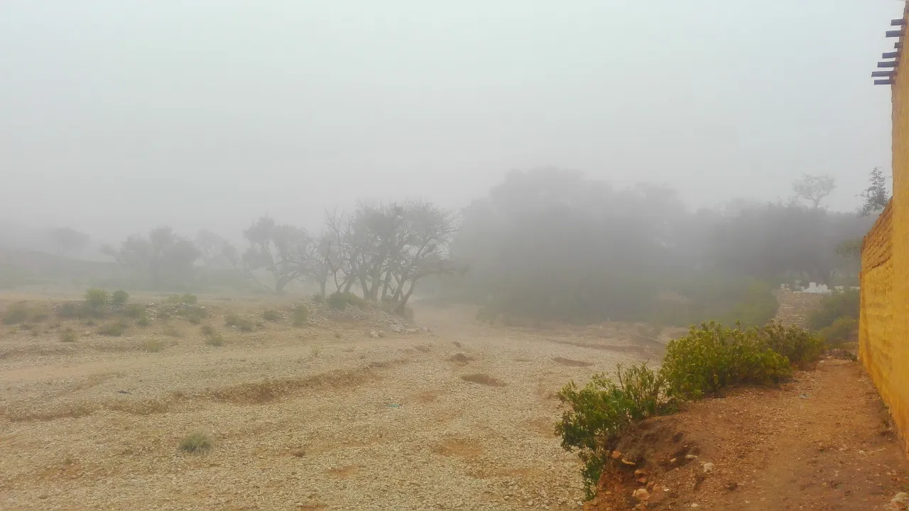 Bihar Weather: सर्दियों की हो रही शुरुआत! कई जिलों में छा रहा कोहरा, जानें रिपोर्ट