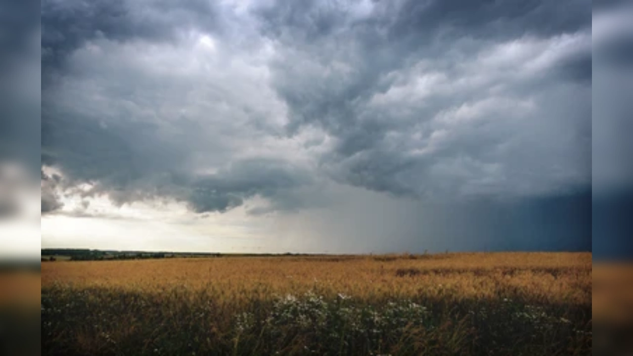 CG Weather: मानसून अंतिम चरम पर! इन जिलों में बताए बूंदा-बांदी के आसार