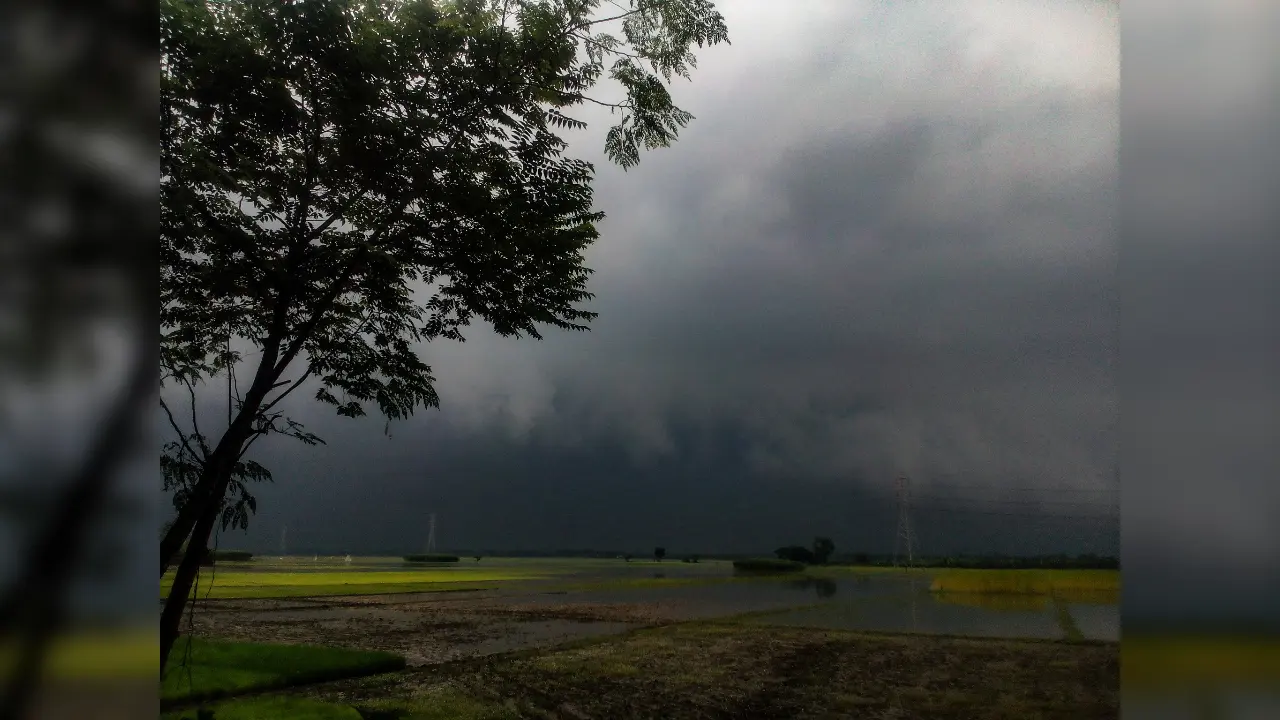 CG Weather: ठंड से पहले भी बारिश का सिलसिला जारी! जानें जिलों का हाल