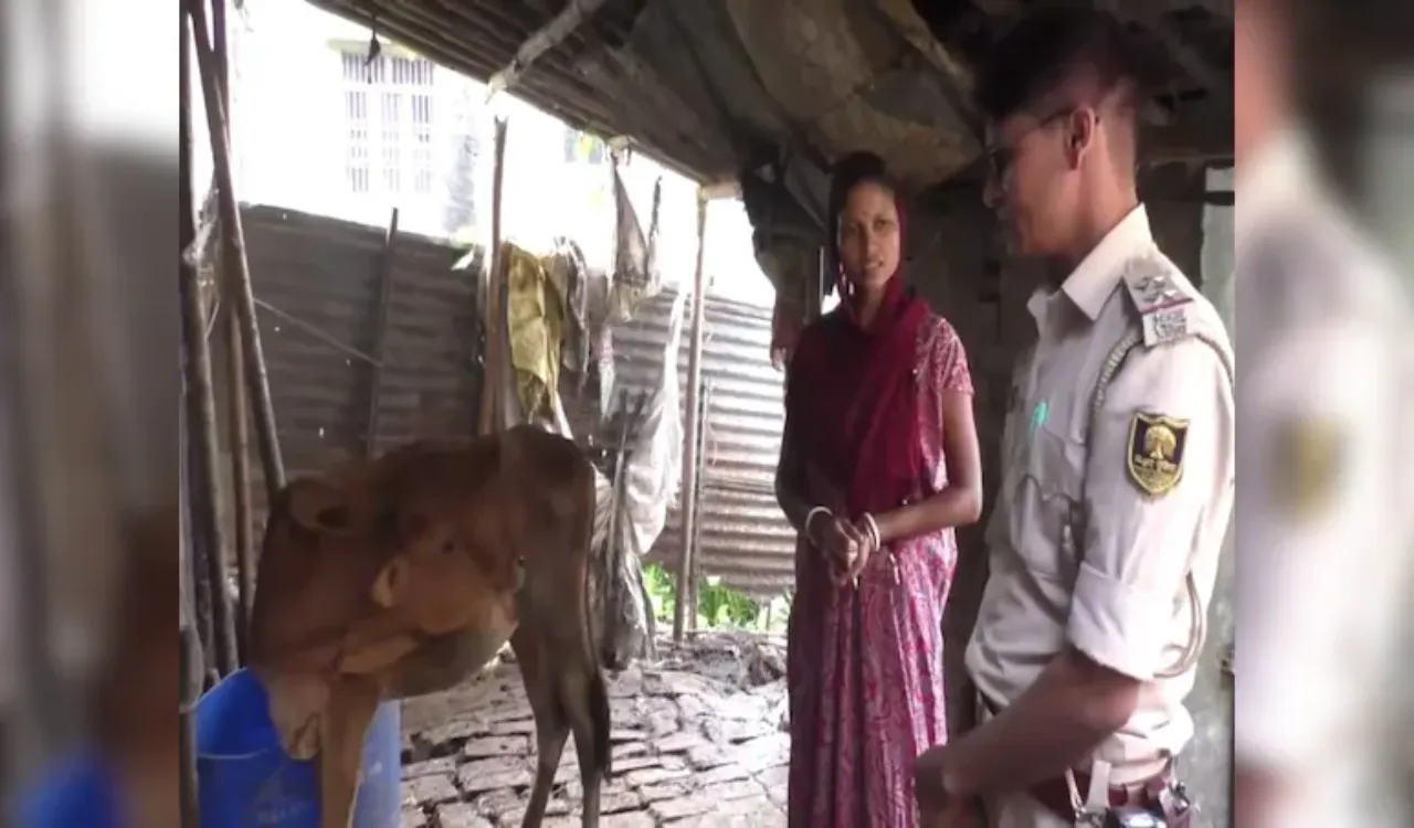 Calf Controversy: बछड़े के पचड़े में उलछ गई पुलिस, DNA टेस्ट तक पहुंच गई बात ; जानें पूरा मामला?