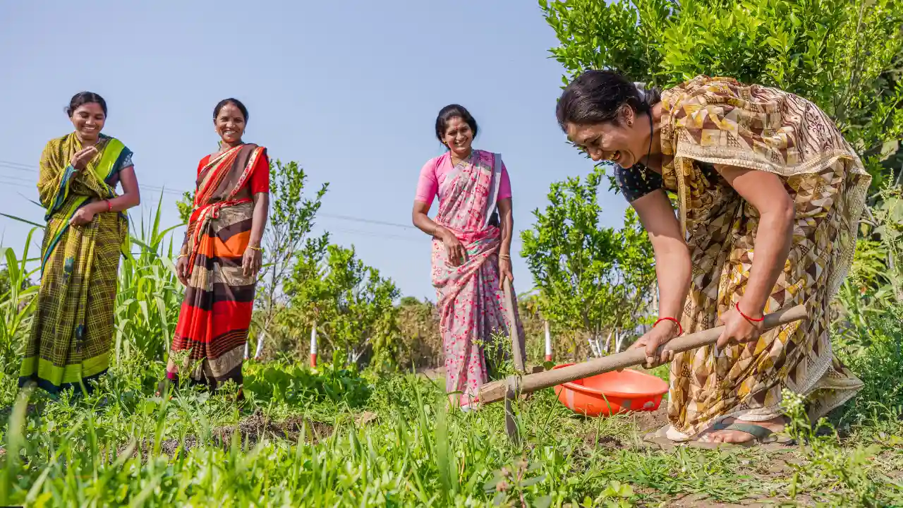 दिवाली से पहले किसानों की हुई बल्ले-बल्ले, मोदी सरकार के इस फैसले से बदल जाएगी अन्नदाताओं की किस्मत