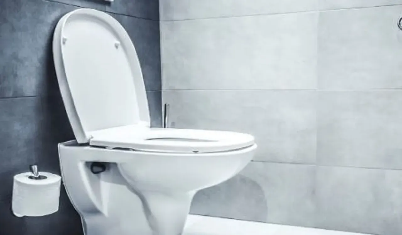 Toilet Seat Tax: हिमाचल में अब 'टॉयलेट सीट' के हिसाब से लगेगा टैक्स, आर्थिक संकट के बीच सुक्खू सरकार का फैसला