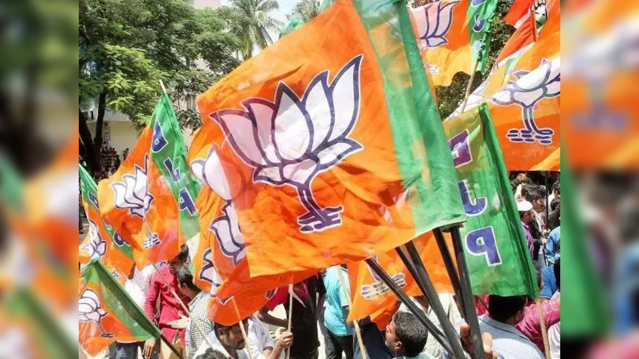 Sisamau Vidhan Sabha Polls 2024:  उपचुनाव को लेकर हलचल तेज! सीसामऊ सीट से BJP उतार सकती है ये चेहरा