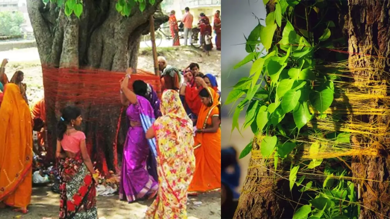 पीपल के पेड़ की मात्र 11 दिन जो कर ली ऐसे पूजा…पैसों की किल्लत से लेकर घर के कलेश तक चुटकियों में होते नजर आएंगे दूर?