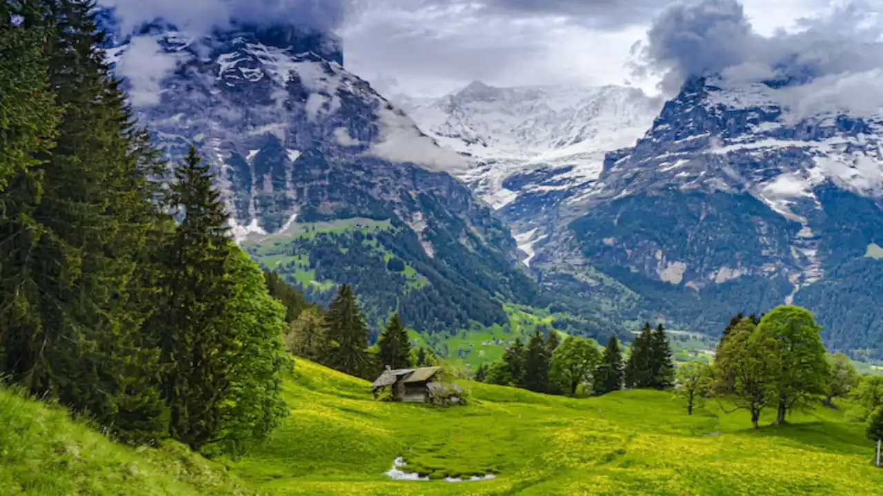 आखिर इतना पैसा बहाकर Switzerland क्यों जा रहे हैं भारतीय? वजह जान गए तो खुद को रोक नहीं पाएंगे