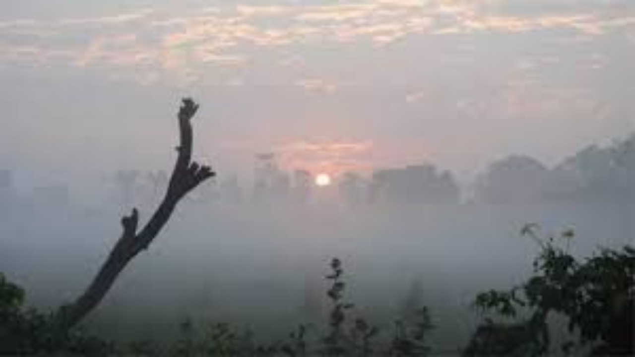 CG Weather Update: ठंड की हल्की शुरुआत, रहेगा साफ आसमान और सुहाना तापमान