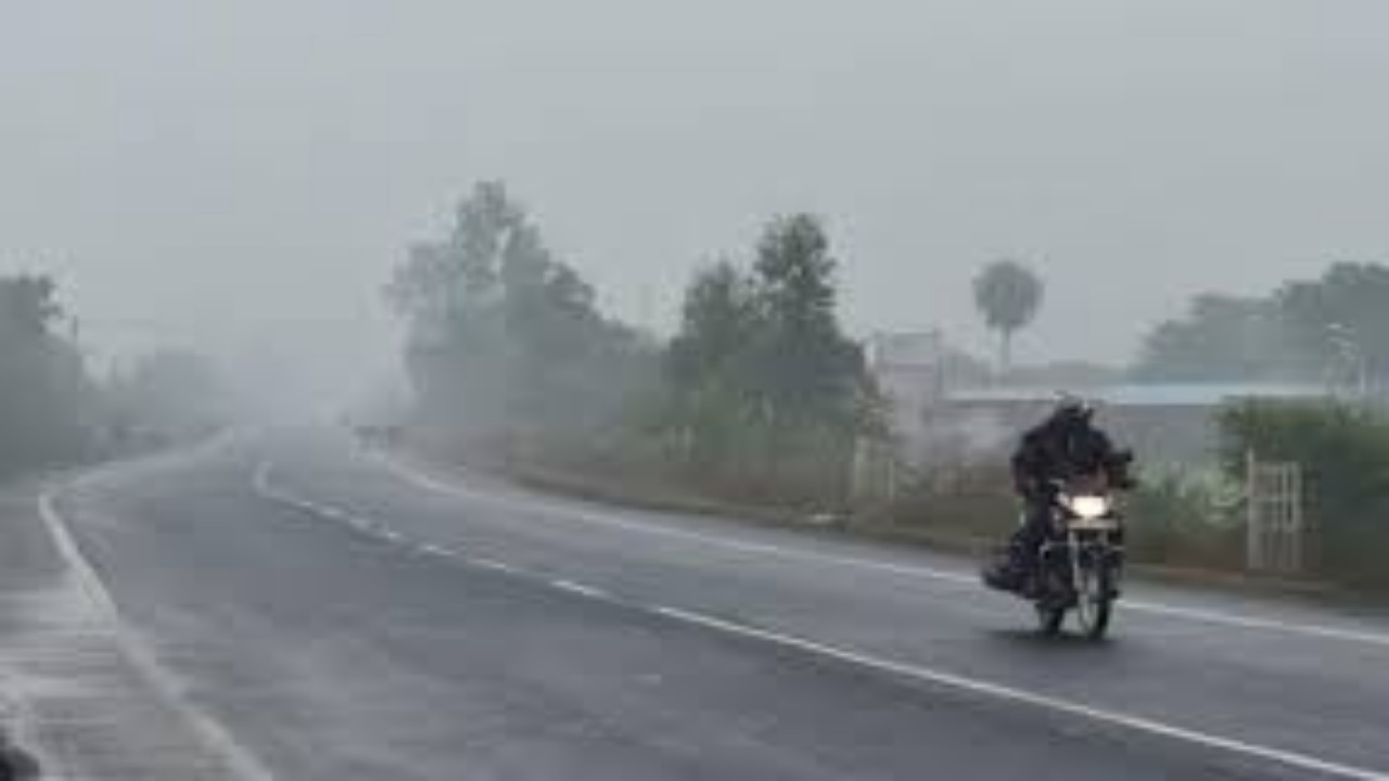 MP Weather Update: ठंड ने दिखाया असर, ठिठुरन के साथ तापमान में तेजी से गिरावत