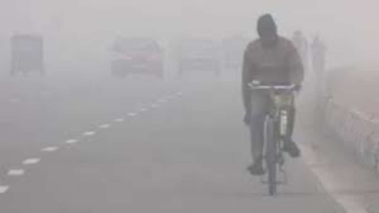 MP Weather Update: गुलाबी ठंड ने दी दस्तक, तापमान में आई गिरावट