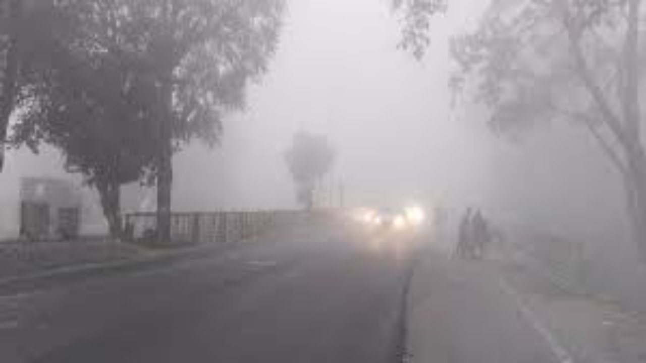 UP Weather Update: ठंड में तेजी से बदलाव, घने कोहरे के साथ तापमान में भरी गिरावट, जाने मौसम का पूरा मिजाज