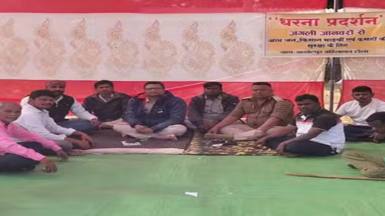 Villagers Protest: जंगली जानवरों से परेशान ग्रामीणों का धरना छठे दिन भी जारी, प्रशासन से सुरक्षा को लेकर कोई मांगे