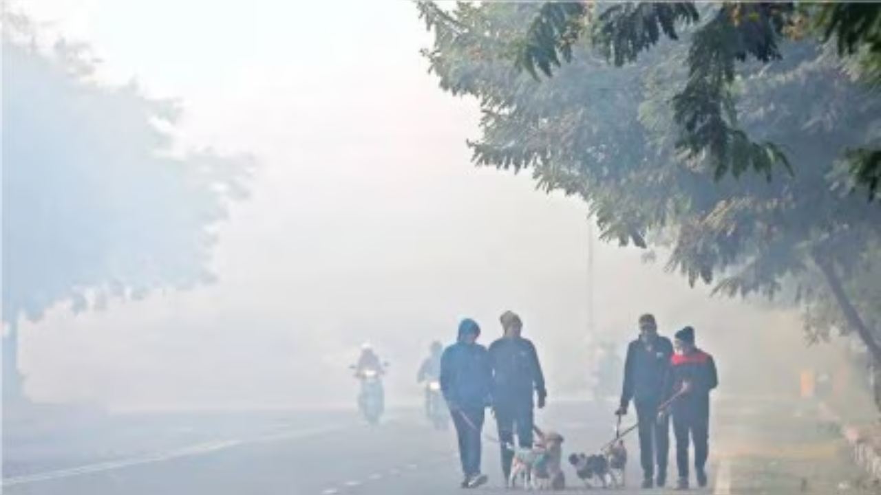 हिमाचल में सर्दी का सितम! घने कोहरे ने बढ़ाई लोगों की परेशानी; जानें आज और कल कैसा रहेगा मौसम ?