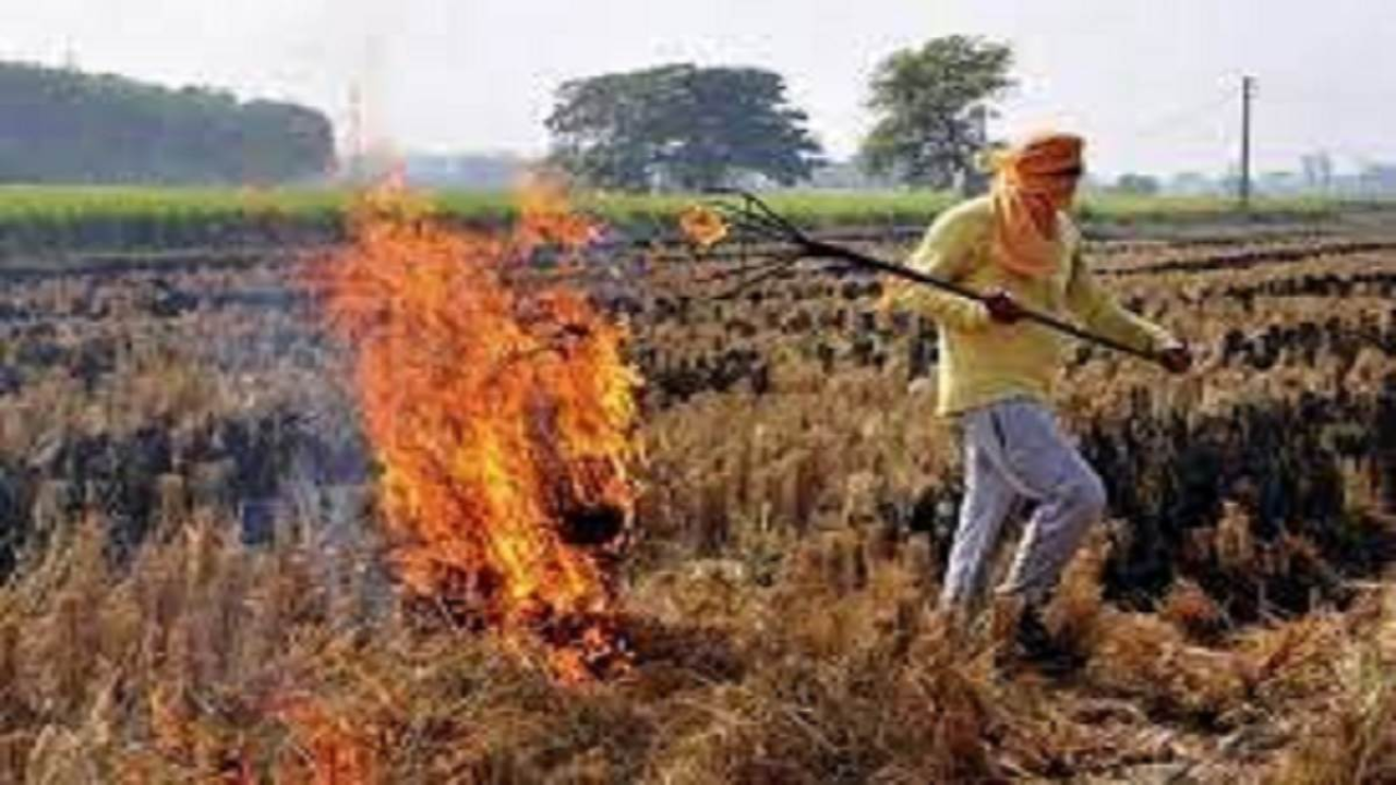 पराली जलाने को लेकर  शासन प्रशासन हुआ शख्स,  सैकड़ों किसानों पर लगाया भारी जुर्माना