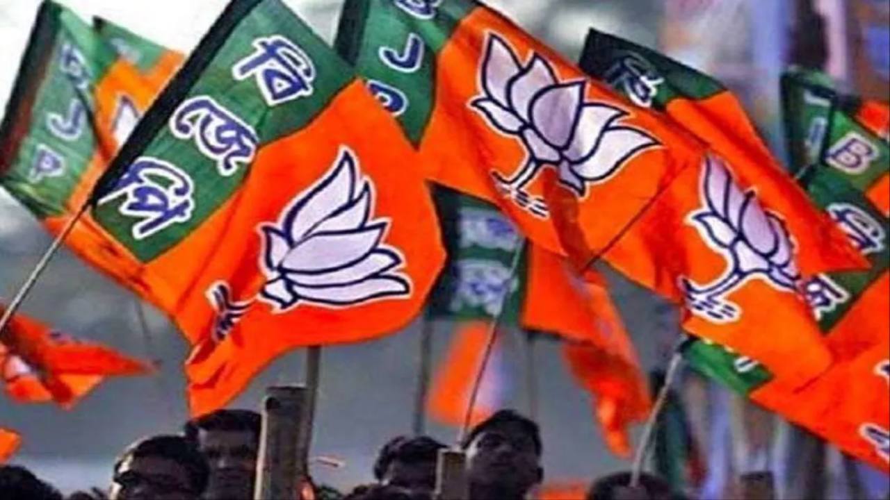 BJP के घोषणा पत्र में आप भी दे सकते हैं सुझाव, WhatsApp नंबर जारी