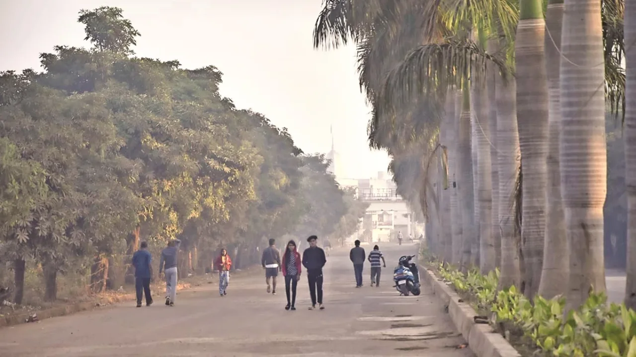 Chhattisgarh Weather: छत्तीसगढ़ में ठंड से मिली हल्की राहत, कोहरे का असर जारी