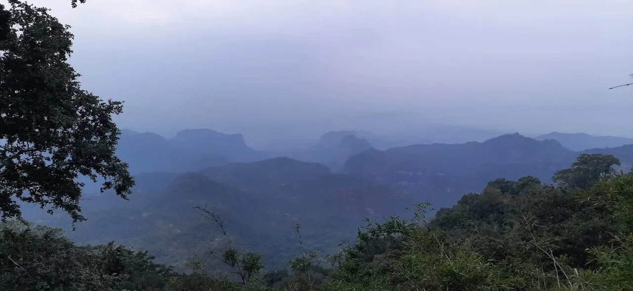 राजस्थान में सर्द हवाओं के चलते तेजी से गिर रहा पारा, आज फिर बारिश मचाएगी कोहराम