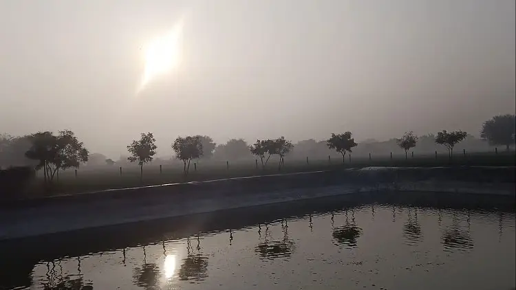 राजस्थान में शीतलहर का अलर्ट जारी, पांच डिग्री सेल्सियस पहुंचा तापमान; जानें आज के मौसम का हाल