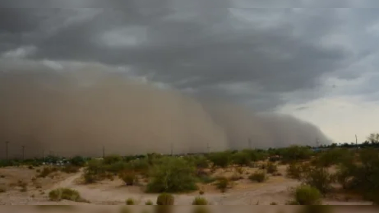 Rajasthan Weather Update: राजस्थान में कड़ाके की ठंड का कहर, पश्चिमी विक्षोभ बढ़ा रहा मुश्किलें