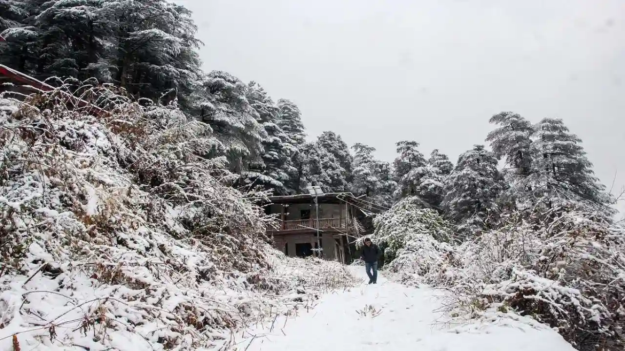 Himachal Weather Update: हिमाचल प्रदेश में बर्फबारी से सेब बागवानों को राहत, पर्यटन कारोबार को मिलेगा बढ़ावा