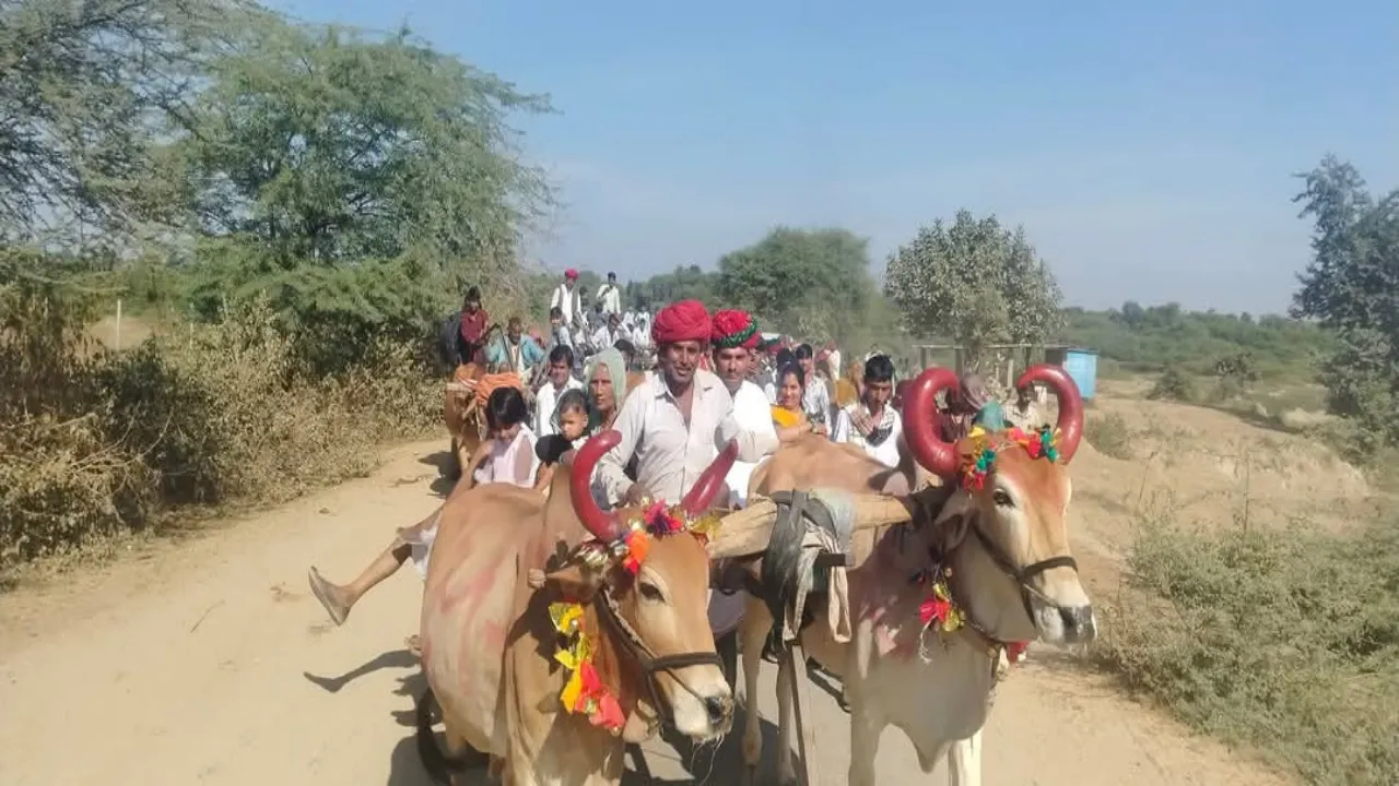 ‘बीरा भात भरण को आयो रे…’ होड़ा से श्रीपुरा बैलगाड़ियों में मायरा लेकर पहुंचे भाई, फोटोज हो रही वायरल