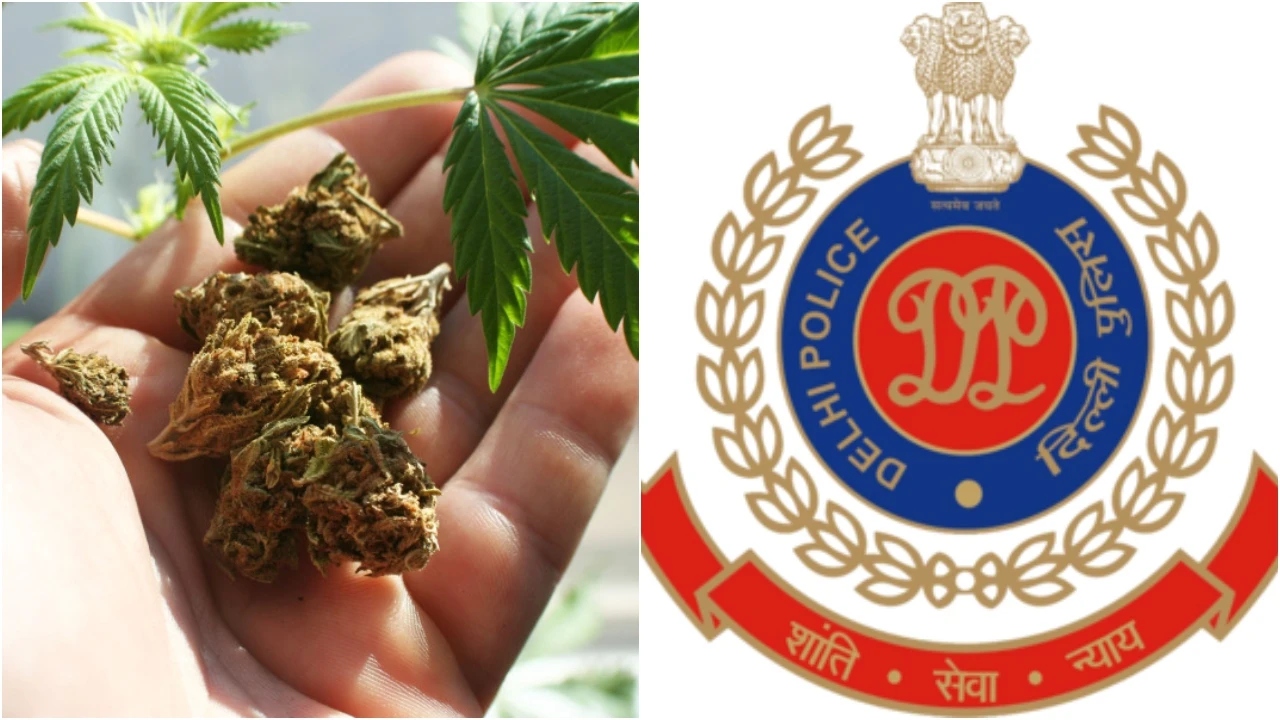 Nepali Ganja Recovered: नहीं थम रही नशे की तस्करी! सीमा शुल्क पटना की बड़ी कार्रवाई, नेपाली गांजे की बड़ी खेप बरामद