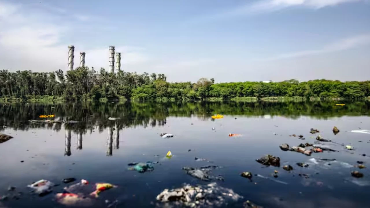 कभी दिल्ली की बुझाती थी प्यास, अब खुद बन गई नाला, जानिए यमुना जैसी इस जीवनदायिनी नदी का क्या हुआ?