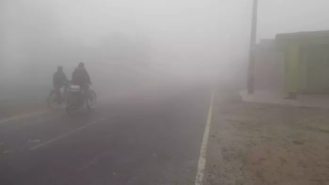 Bihar Weather Update: राज्य में बदल रहा मौसम का हाल, कभी कोहरा तो कभी धूप, जानें मौसम का अपडेट