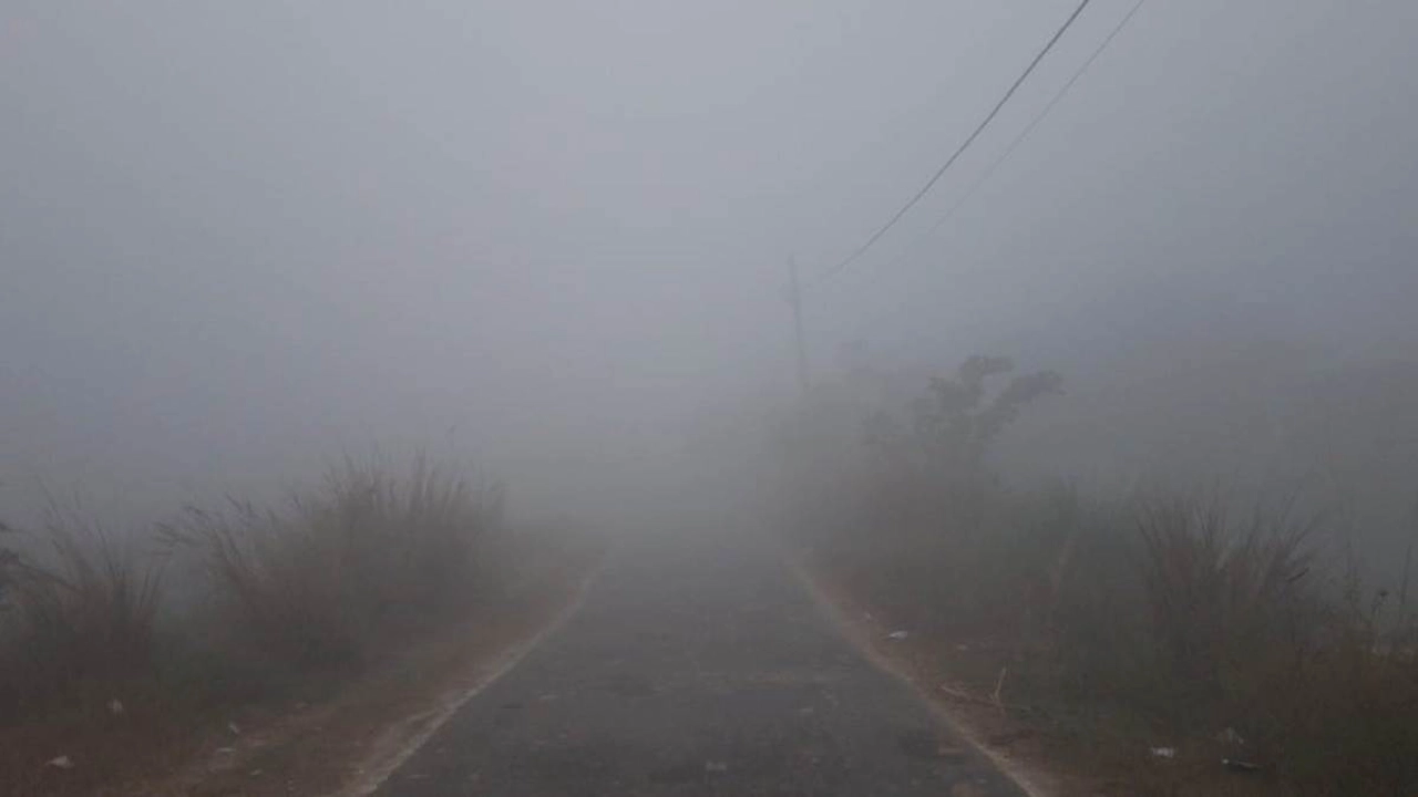 Bihar Weather Update: नए साल पर बाहर निकलने से पहले कर लें पूरी तैयारी, मौसम विभाग ने जारी की चेतावनी