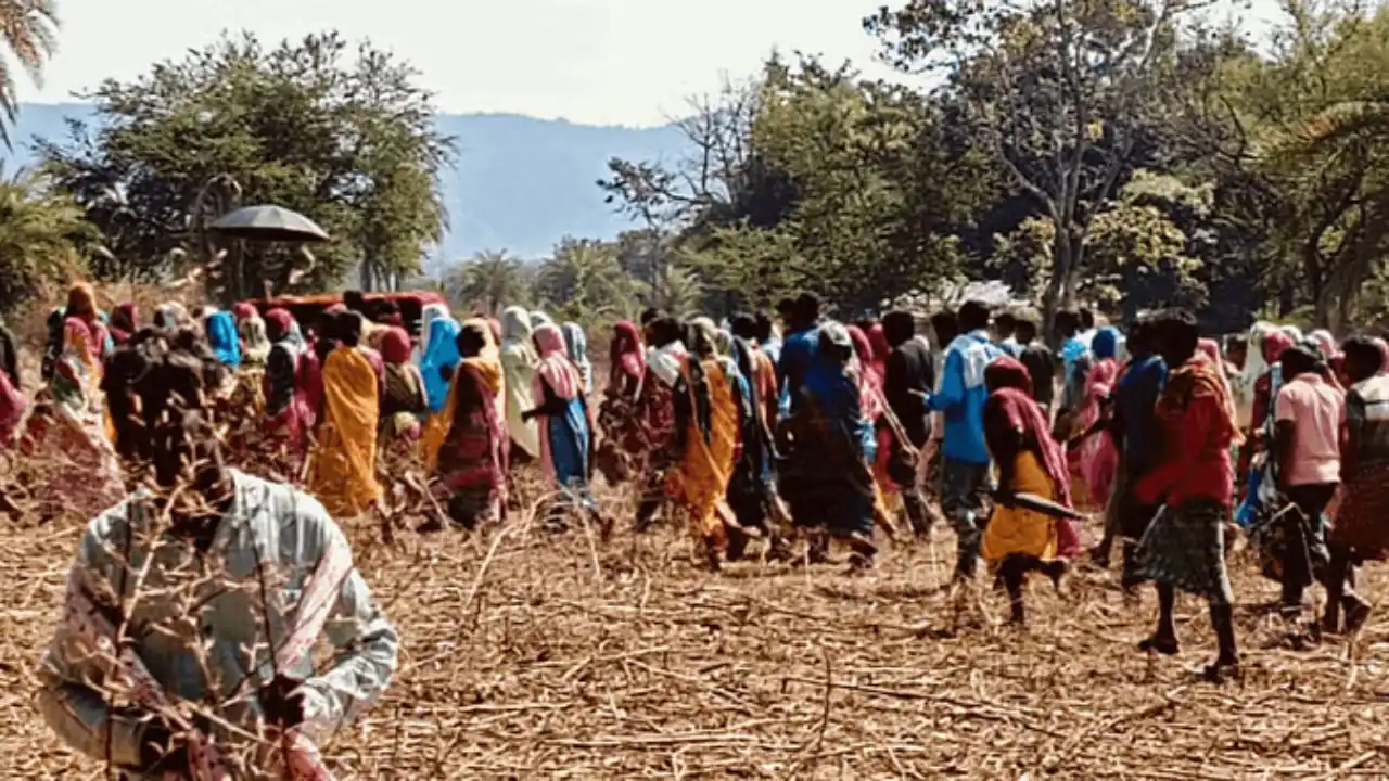 बस्तर में धर्मांतरण बना विवाद का कारण! मौत के बाद भी नहीं मिल रही एक गज जमीन