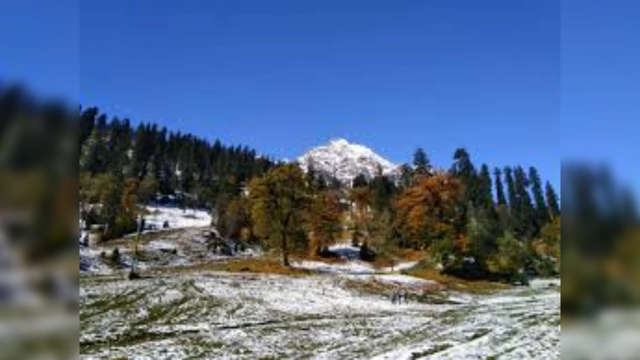 Himachal Weather Report: तापमान में भारी गिरावट दर्ज! शीतलहर का कहर बरकरार, जानें आने वाले दिनों का हाल