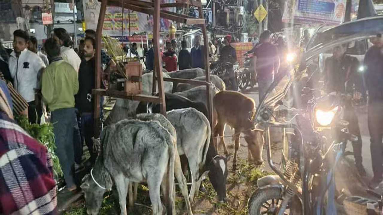 दमोह में गौ तस्करी के विरोध में विहिप और बजरंग दल का प्रदर्शन, सड़क पर लगा घंटो जाम