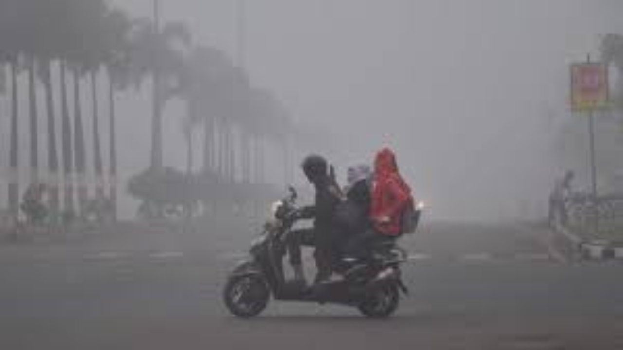 MP Weather Update: ठंड और कोहरे का बढ़ता प्रभाव, नया साल शुरू होते ही तापमान में भारी गिरावट