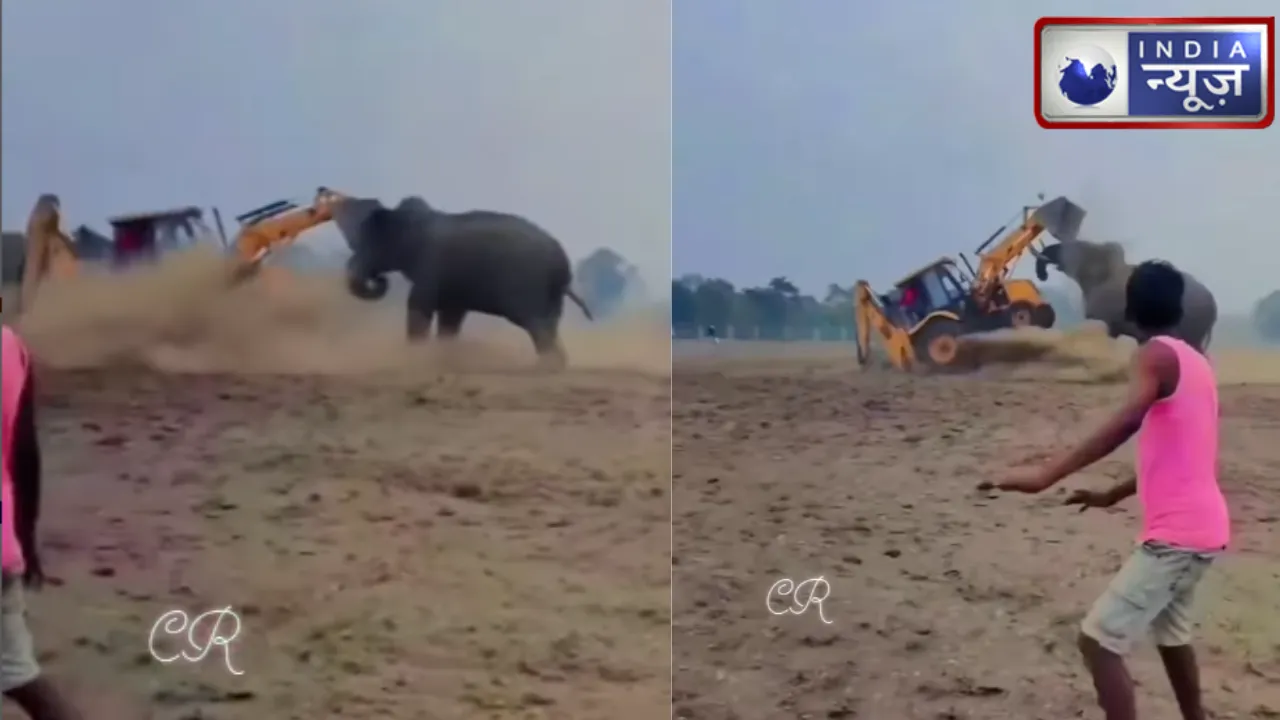 सीधे-सादे हाथी की ताकत तो देखो…JCB का बना दिया कचूमर, Video में गजराज को देखकर निकल जाएगी चीख