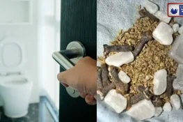 घर में बसी दुःख, दरिद्रता, संकट को दरवाज़े का रास्ता दिखा देगी बाथरूम में लटकी इस सफ़ेद चीज की पोटली, बस जान लें सही समय और नियम!