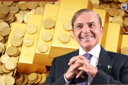 PAK की शहबाज सरकार के हाथ लगा खजाना…सांसदों के वेतन में कर दी 500% की वृद्धि, आम जनता को दिखाया ठेंगा