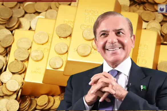 PAK की शहबाज सरकार के हाथ लगा खजाना…सांसदों के वेतन में कर दी 500% की वृद्धि, आम जनता को दिखाया ठेंगा