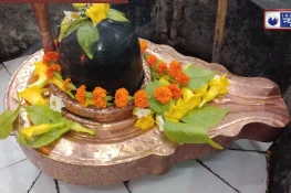 प्रदोष व्रत के दिन भोलेनाथ का इन चीजों से करें अभिषेक, पैसों की तंगी के साथ बीमारियों से भी मिलेगा छुटकारा, बन जाएंगे सारे बिगड़े काम!