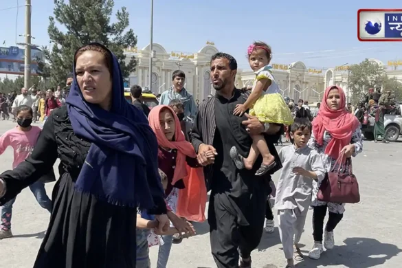 पहले जिनको उतारा मौत के घाट, अब उनको दे रहा ऑफर…आखिर क्यों अफगान‍ियों को वापस देश बुला रही ताल‍िबान सरकार?