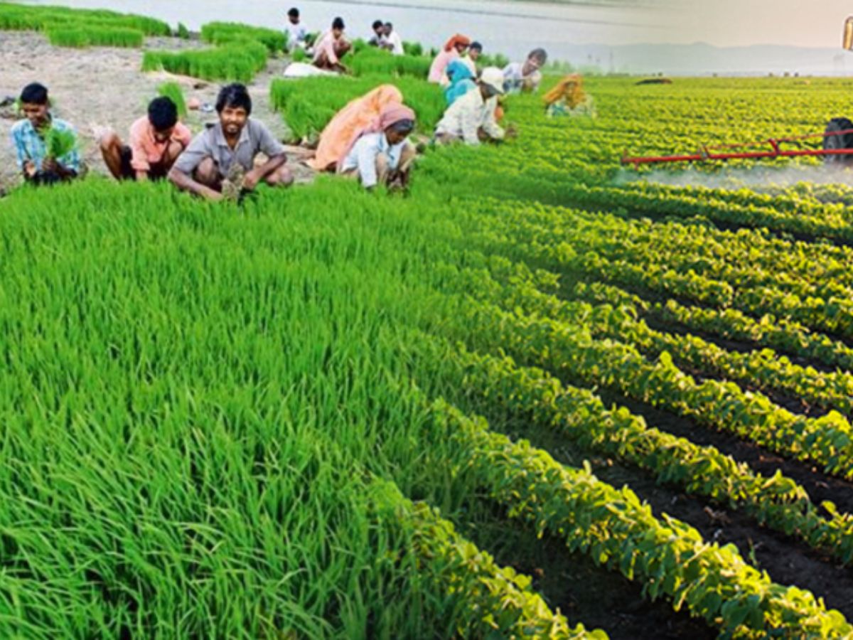 धरती से सितारों तक:भारत का सफर, सरहदों की हिफ़ाज़त से लेकर अंतरिक्ष की ऊँचाइयों तक - Gallery Image