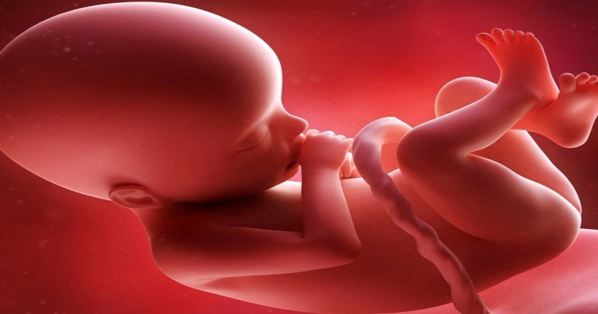 हरियाणा की साइबर सिटी के पॉश एरिया में कूड़े के ढेर में मिला भ्रूण, क्षेत्र में फैली सनसनी, आरोपी तक पहुंचने के लिए सीसीटीवी फुटेज खंगालने में जुटी पुलिस