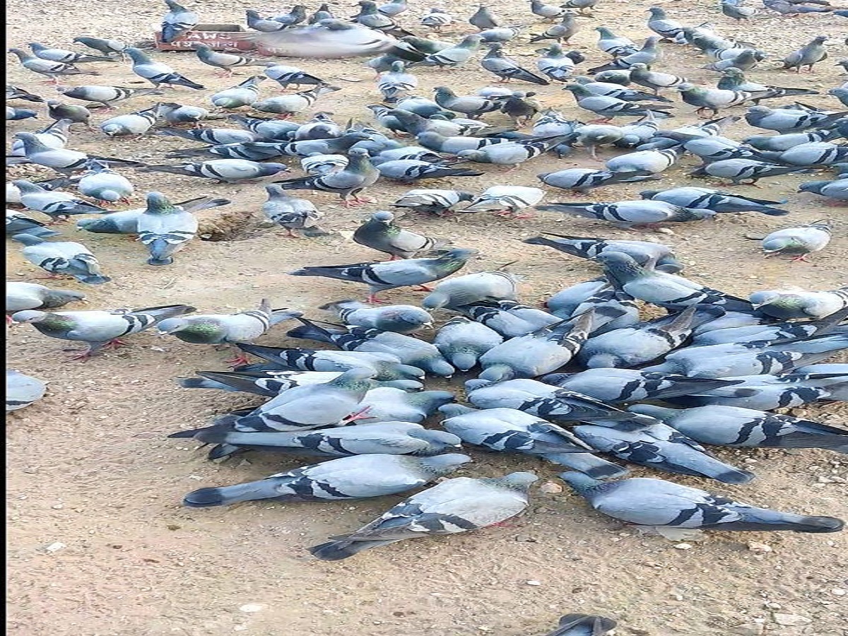 menta lpeace and stress relief - Photo Gallery